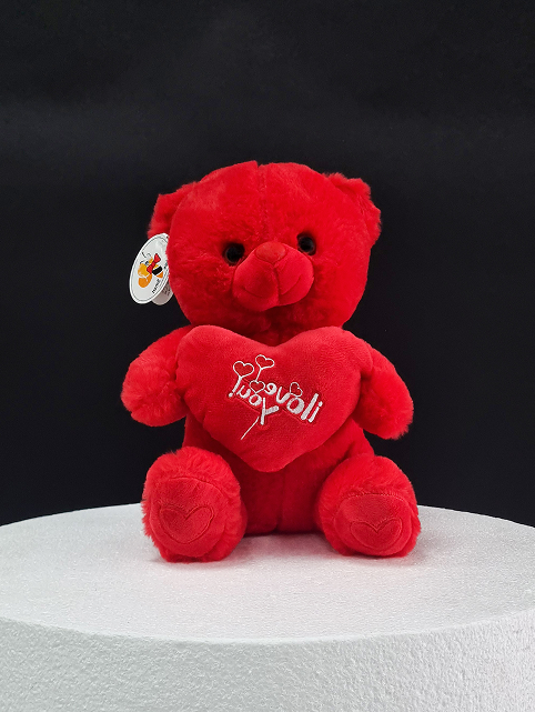 Soft Teddy Bear with I Love You Heart Red Color