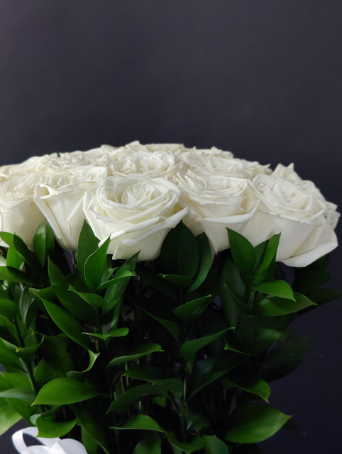 White Roses