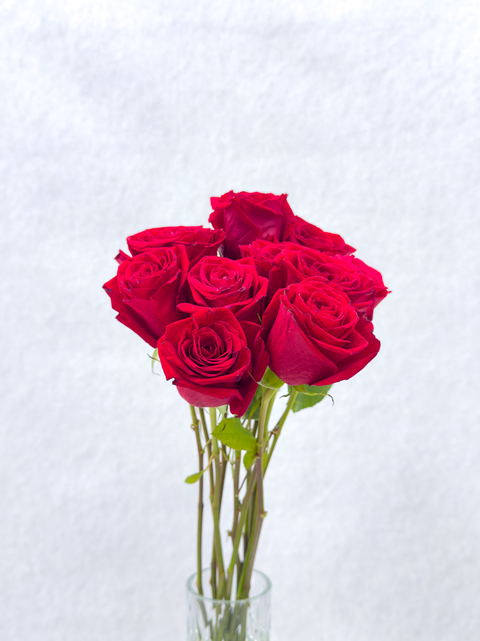 Red Roses