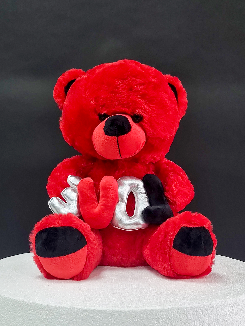 Soft Teddy Bear with Love