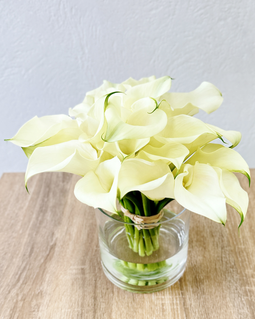 Calla Lily