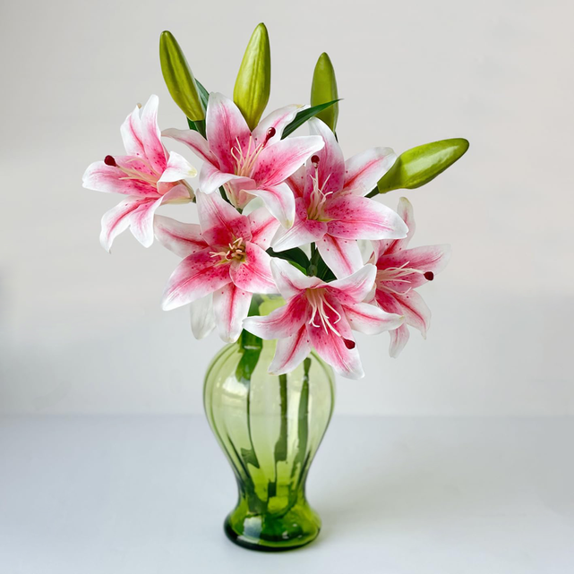 Light Pink Lily
