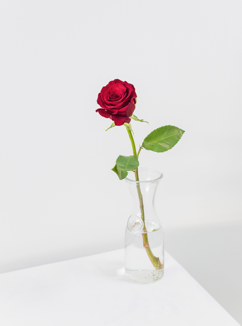 Red Roses