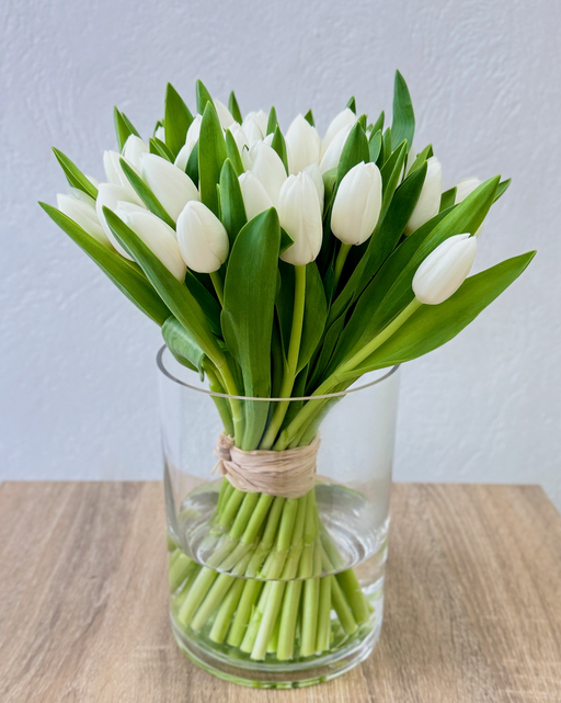 White Tulips
