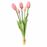 Tulip Light Pink - 1