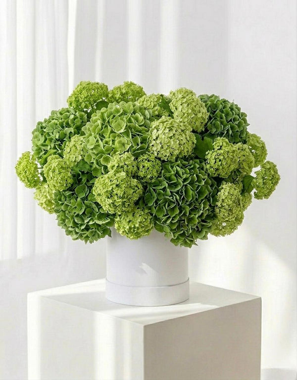 Sympathy Flowers